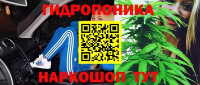 прущие грибы Коммунар